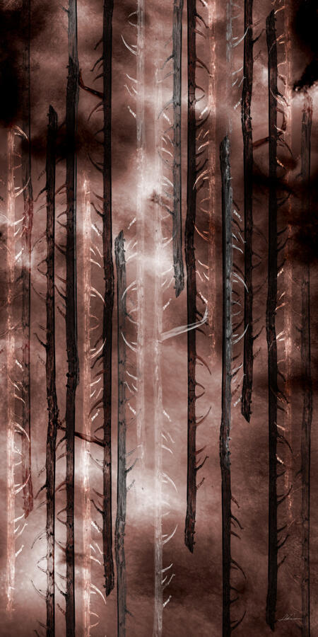 Fire 1