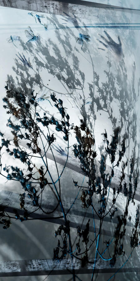 Wind 1