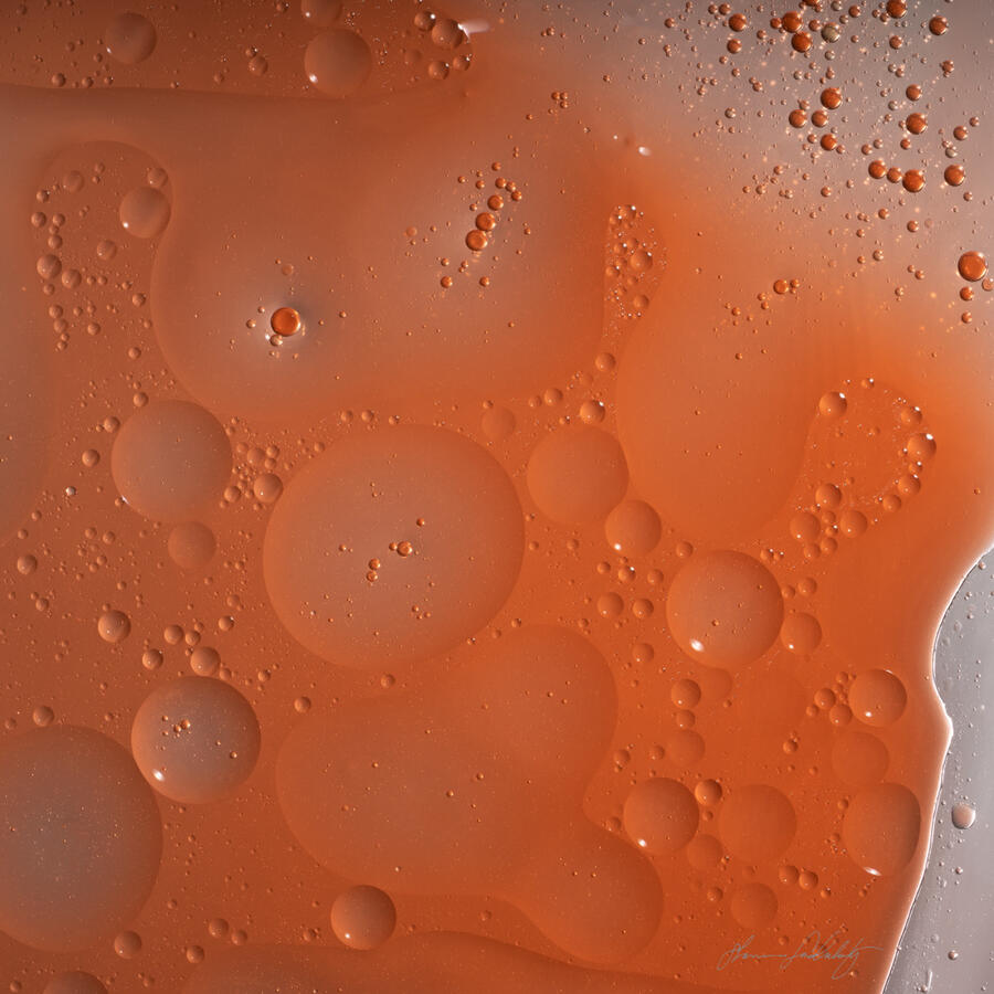 Under the Microscope 2