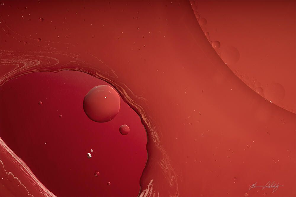 Under the Microscope 7