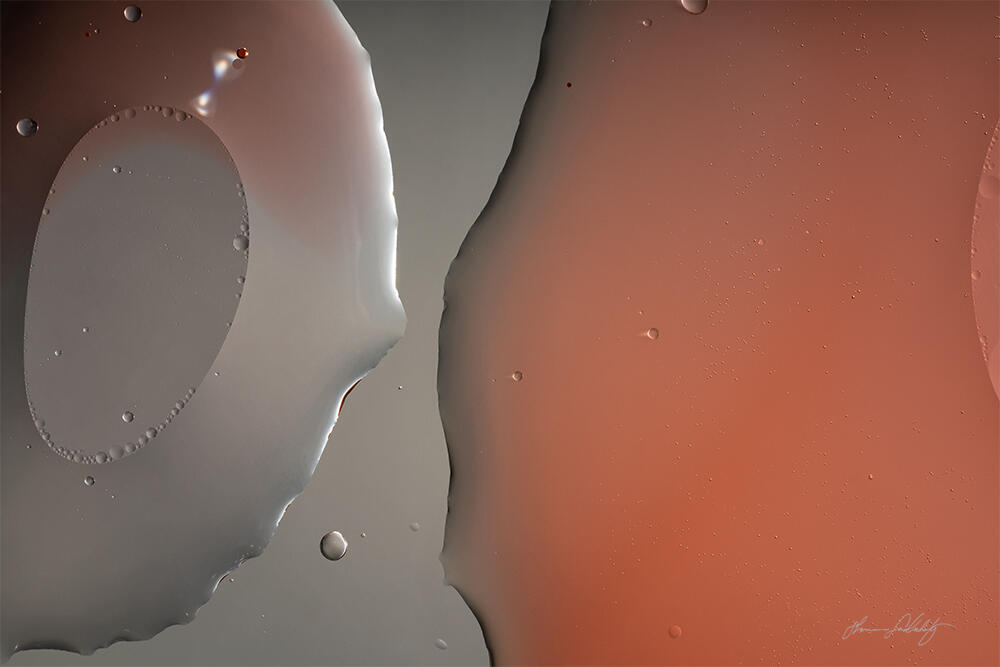 Under the Microscope 6