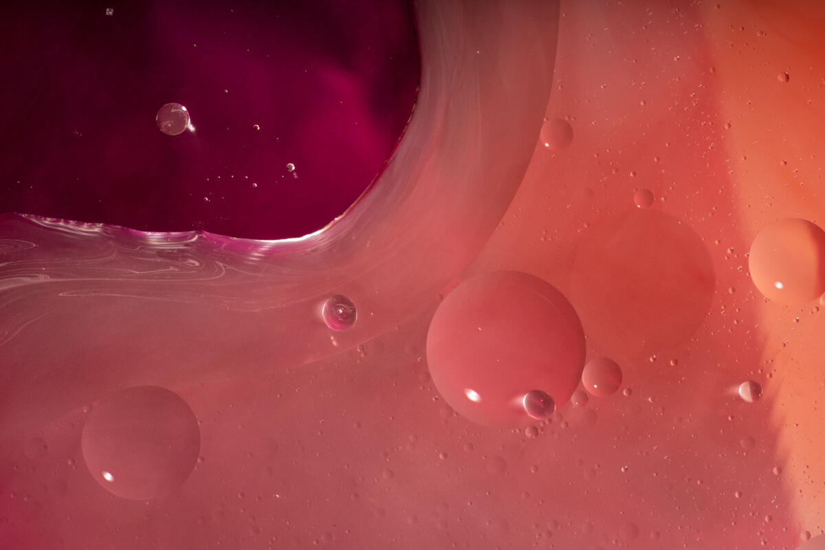 Under the Microscope 5