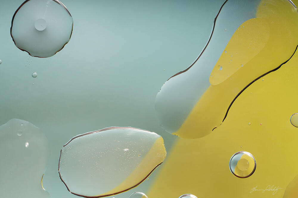 Under the Microscope 8