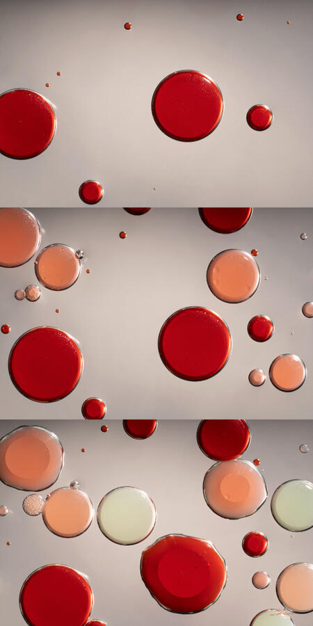 Under the Microscope 11