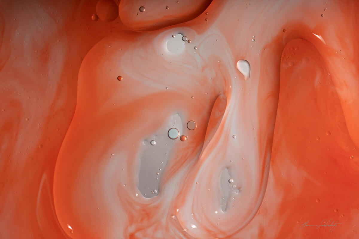 Under the Microscope 1
