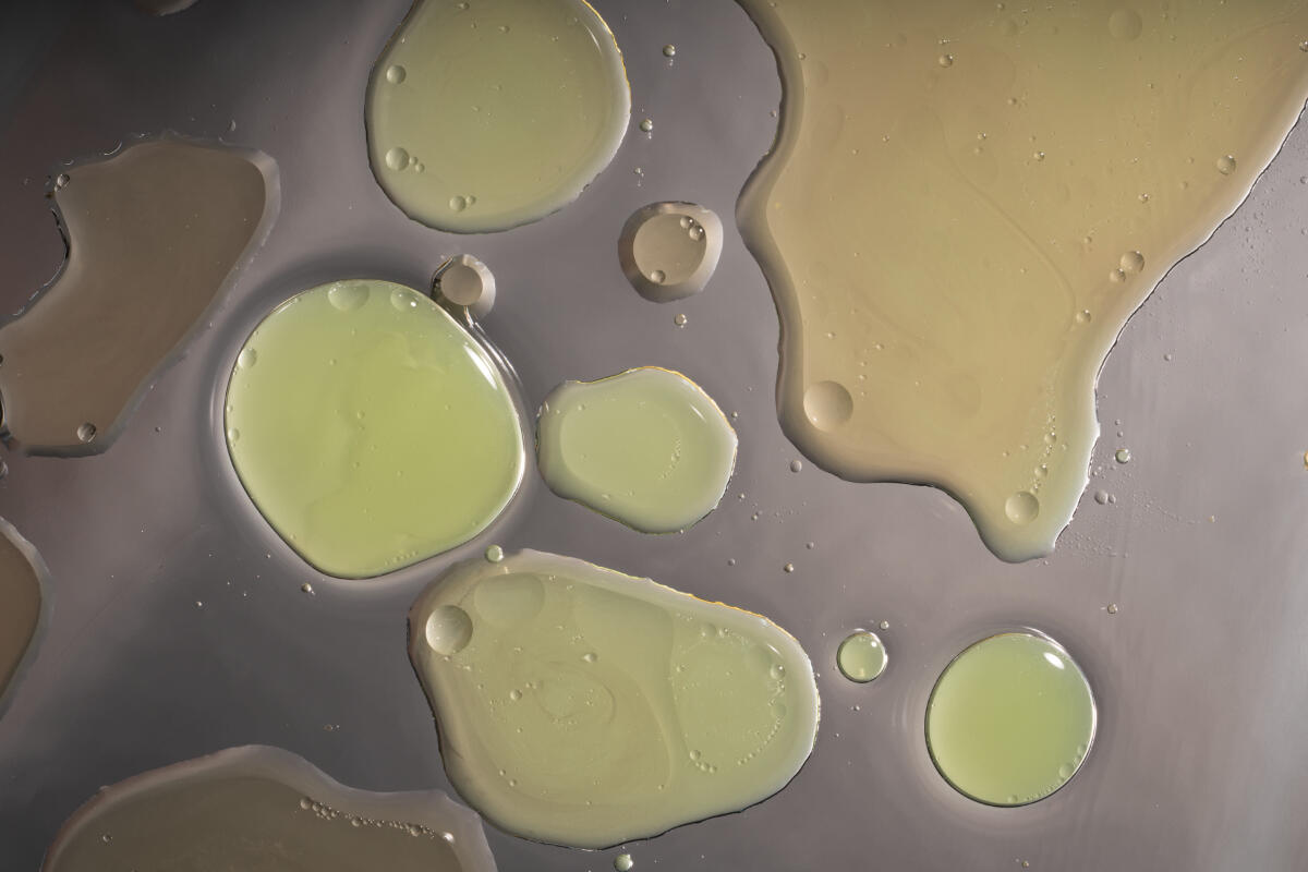 Under the Microscope 4