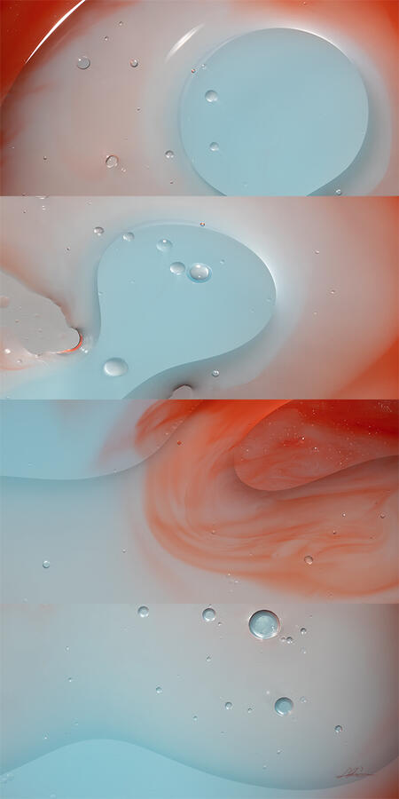 Under the Microscope 12