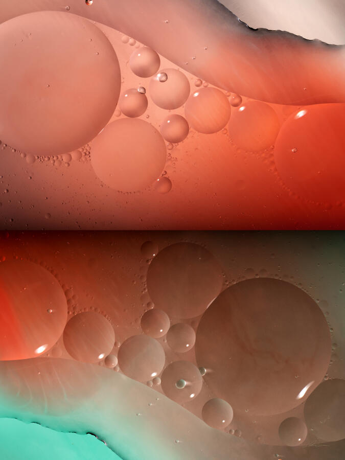 Under the Microscope 10
