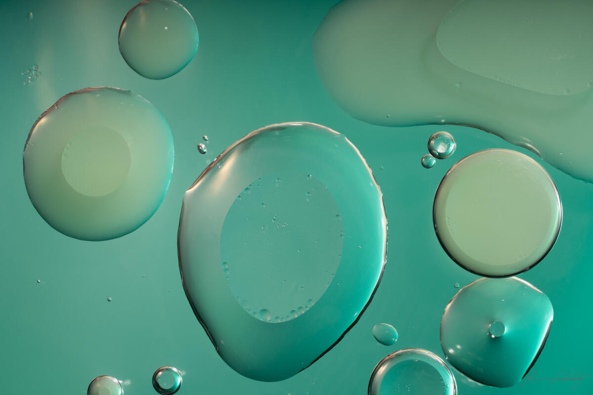 Under the Microscope 3